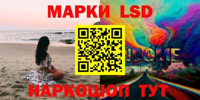 шишки Будённовск