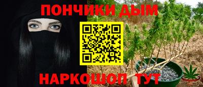 шишки Будённовск