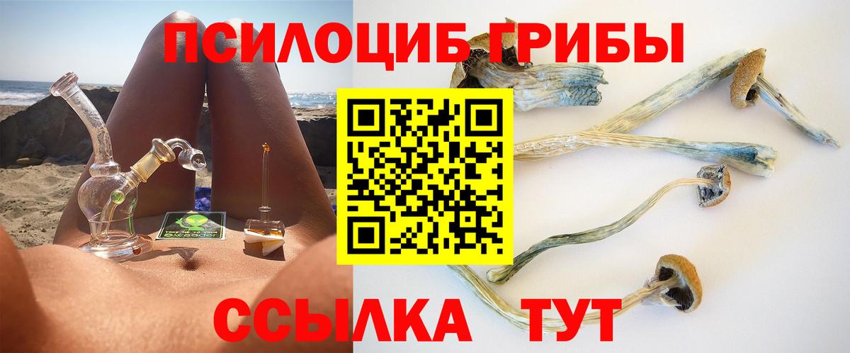 Борисоглебск  Псилоцибиновые грибы Psilocybine cubensis  Вход с VPN  Галлюциногенные грибы Psilocybe 